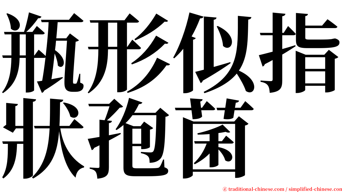 瓶形似指狀孢菌 serif font