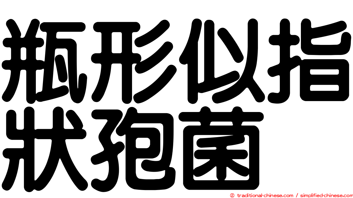 瓶形似指狀孢菌
