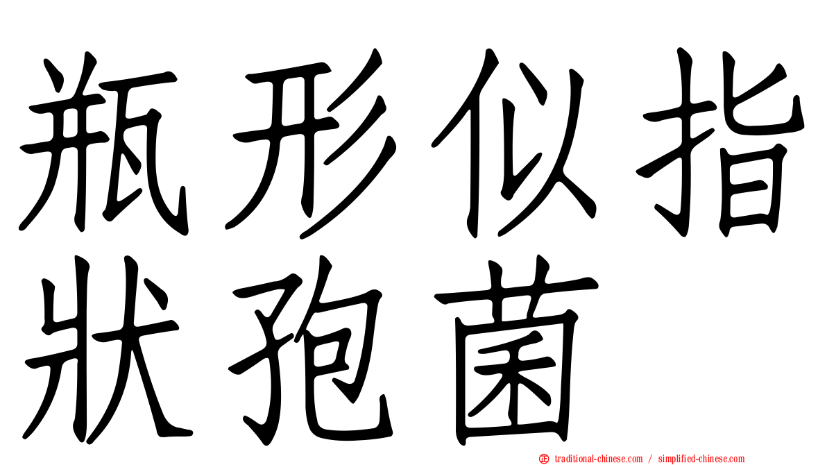 瓶形似指狀孢菌