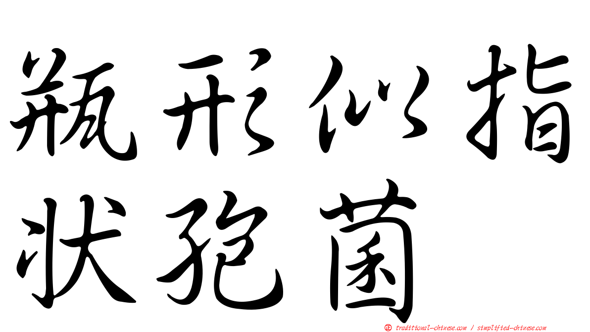 瓶形似指狀孢菌