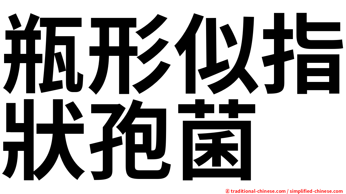瓶形似指狀孢菌