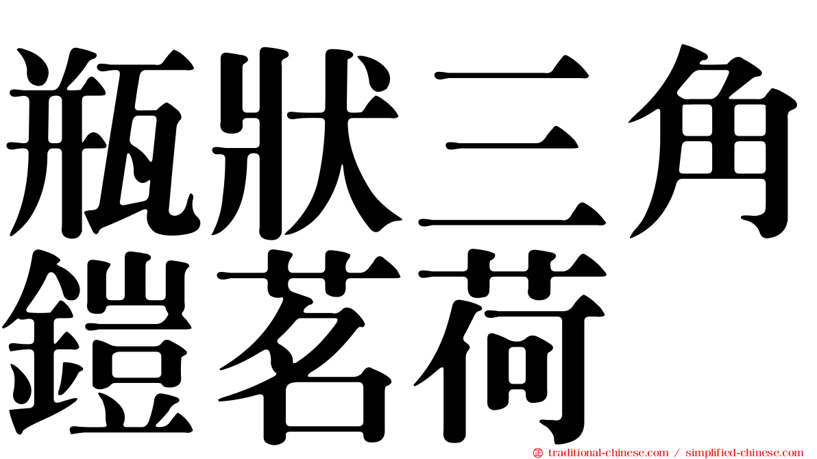 瓶狀三角鎧茗荷