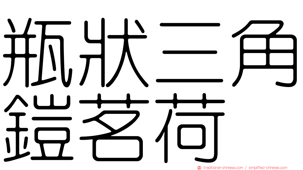 瓶狀三角鎧茗荷