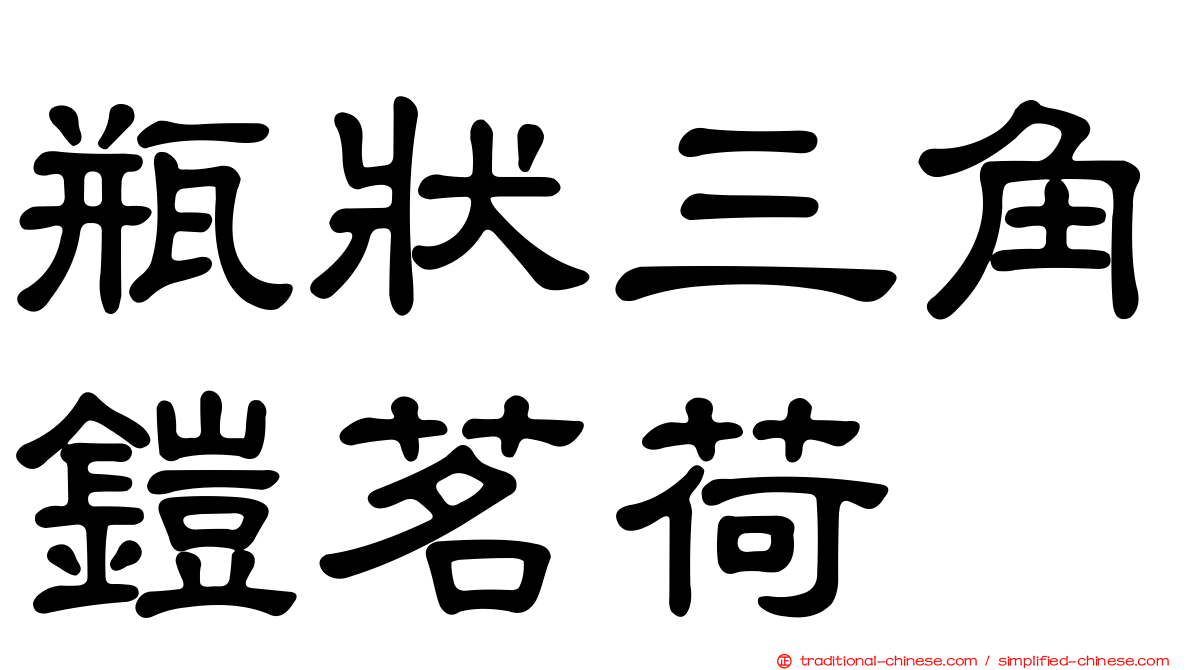 瓶狀三角鎧茗荷