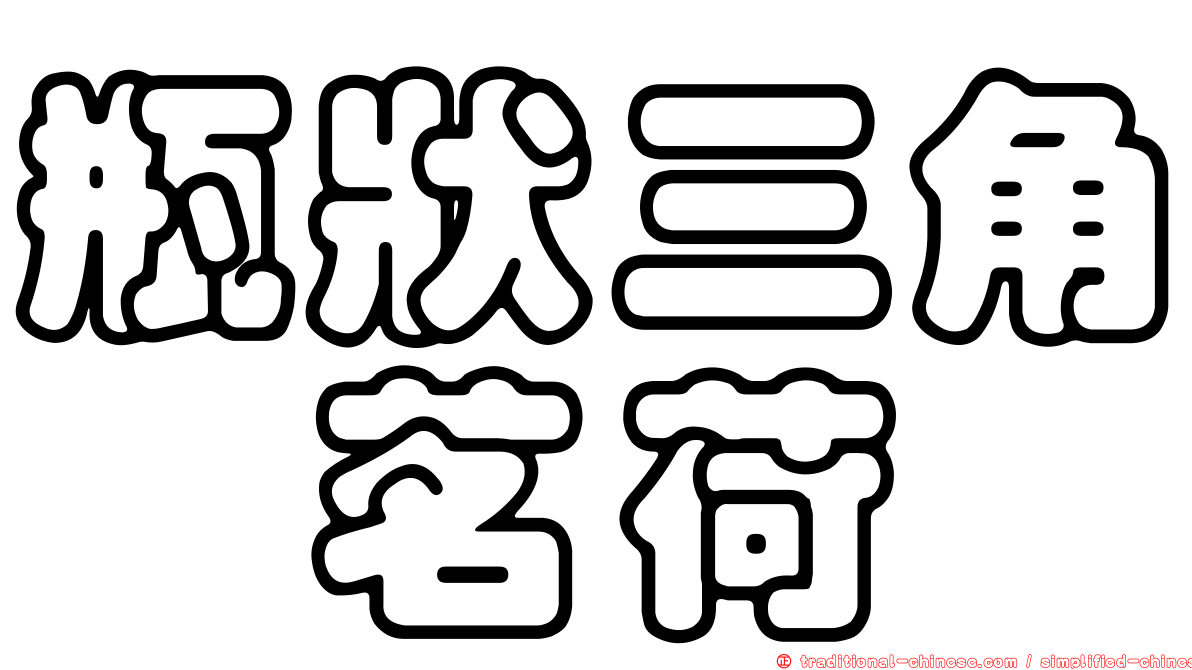 瓶狀三角鎧茗荷
