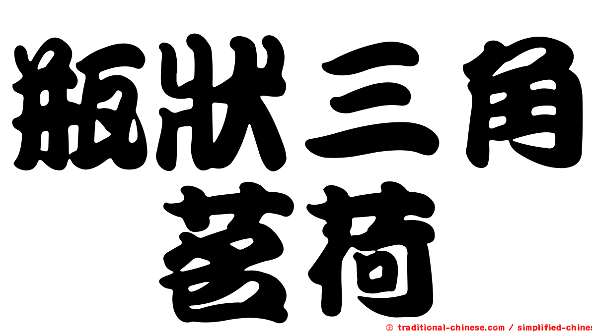 瓶狀三角鎧茗荷