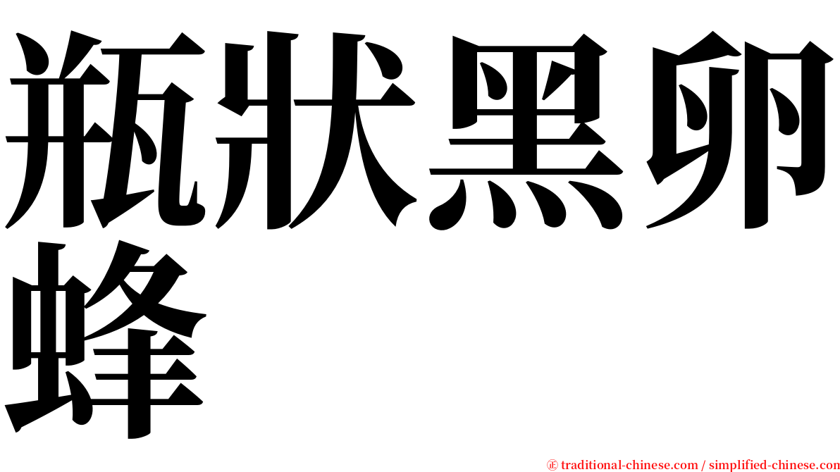 瓶狀黑卵蜂 serif font