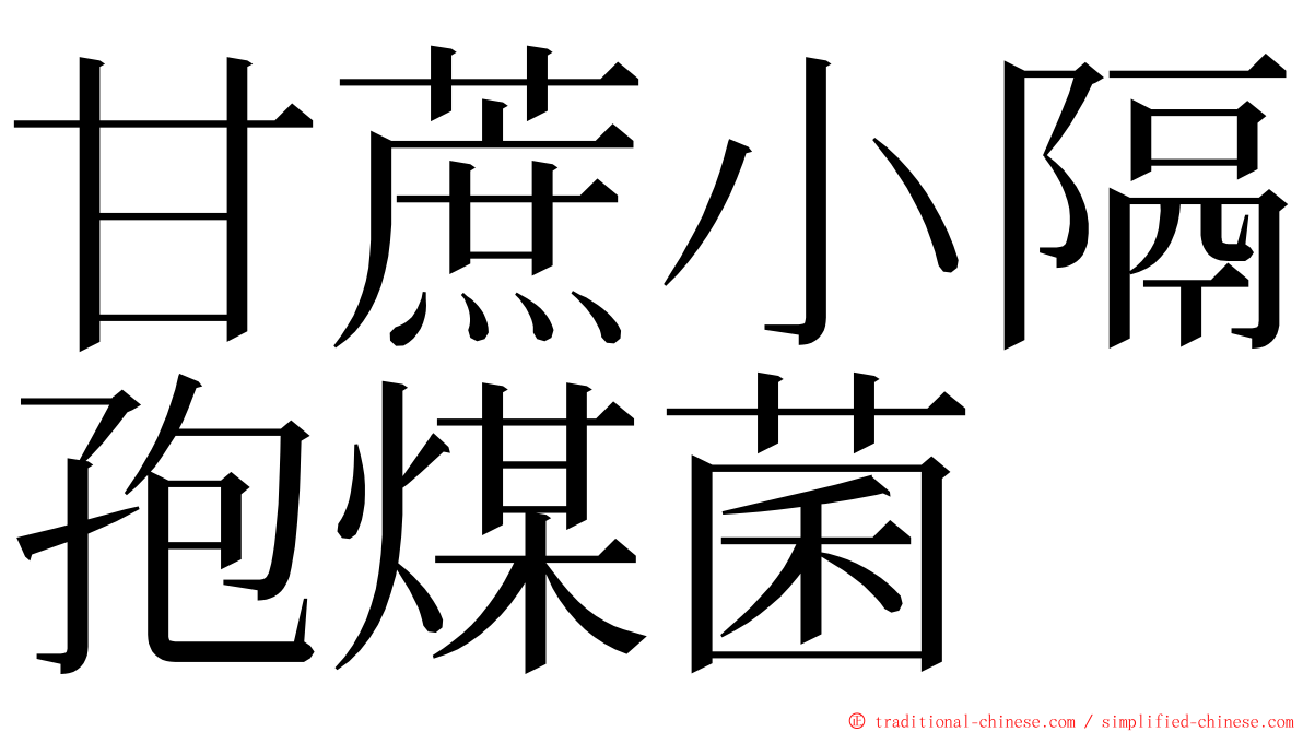 甘蔗小隔孢煤菌 ming font