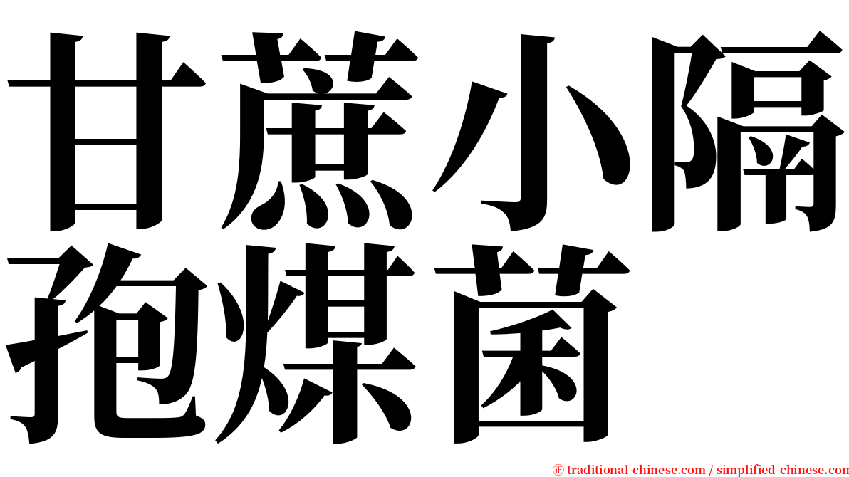 甘蔗小隔孢煤菌 serif font