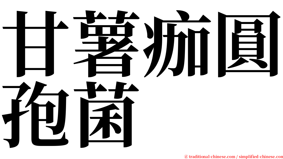 甘薯痂圓孢菌 serif font