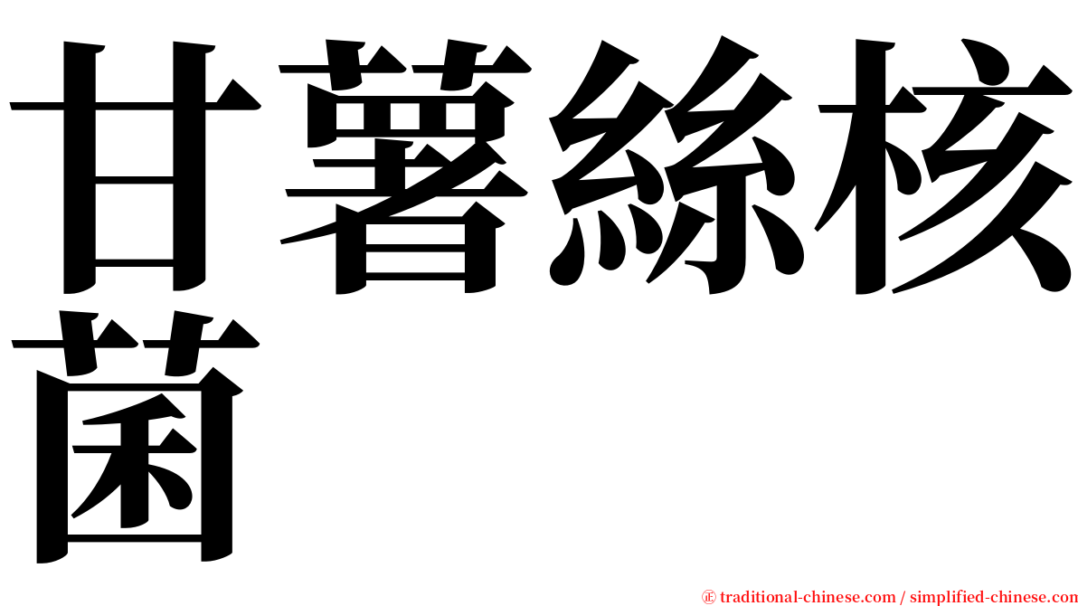 甘薯絲核菌 serif font