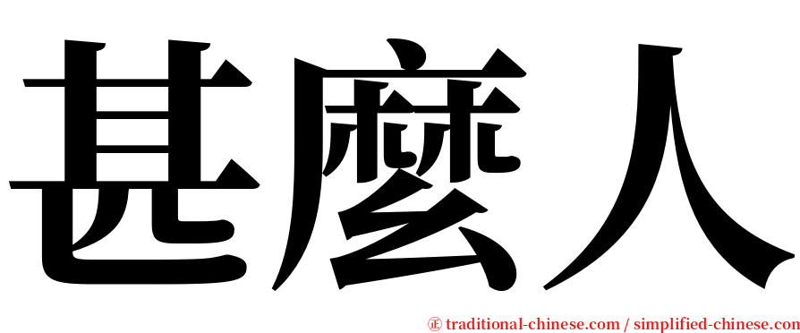 甚麼人 serif font