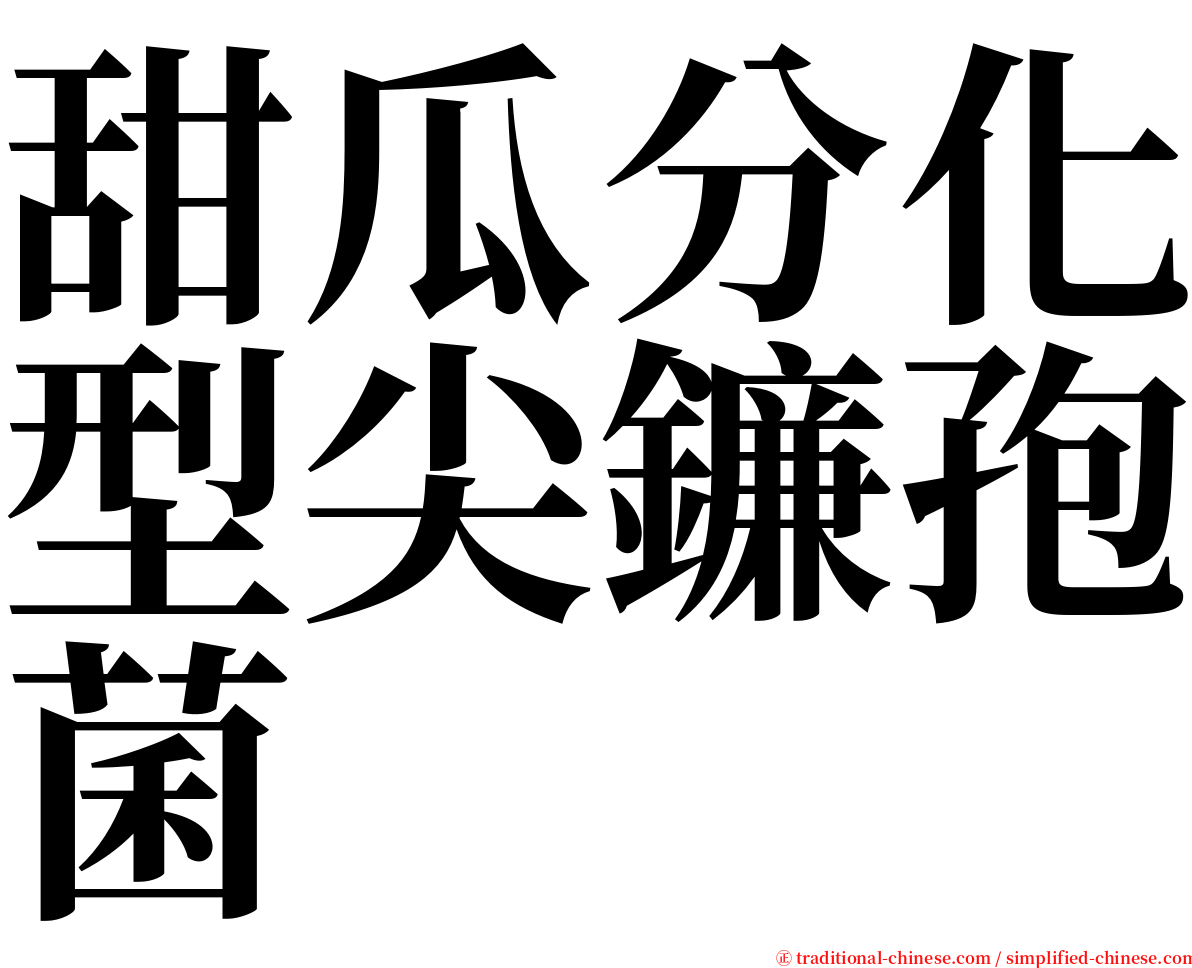 甜瓜分化型尖鐮孢菌 serif font