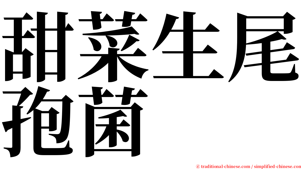 甜菜生尾孢菌 serif font