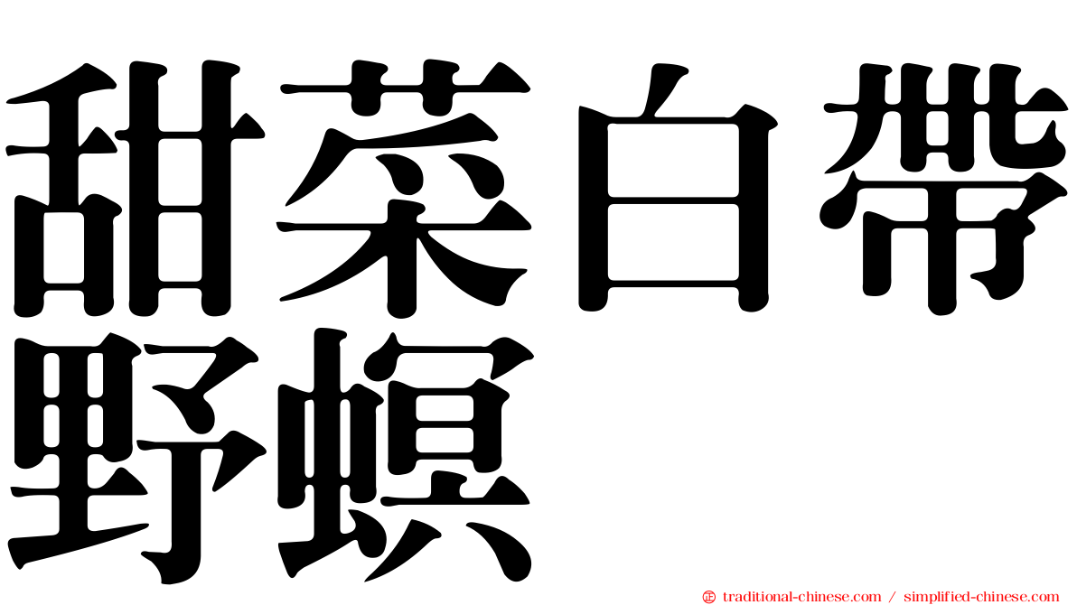 甜菜白帶野螟