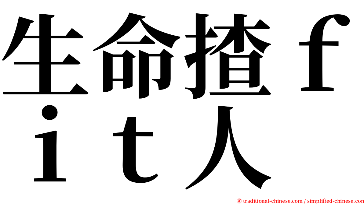 生命揸ｆｉｔ人 serif font