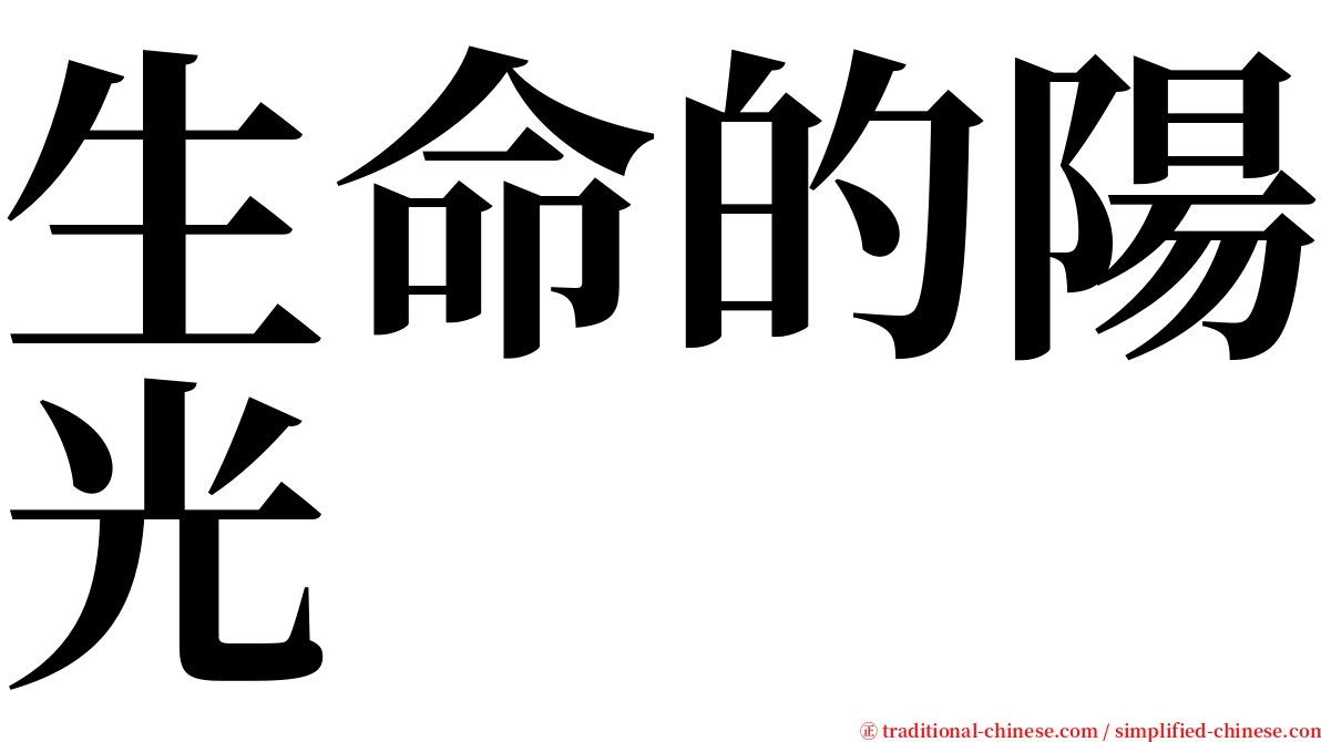 生命的陽光 serif font