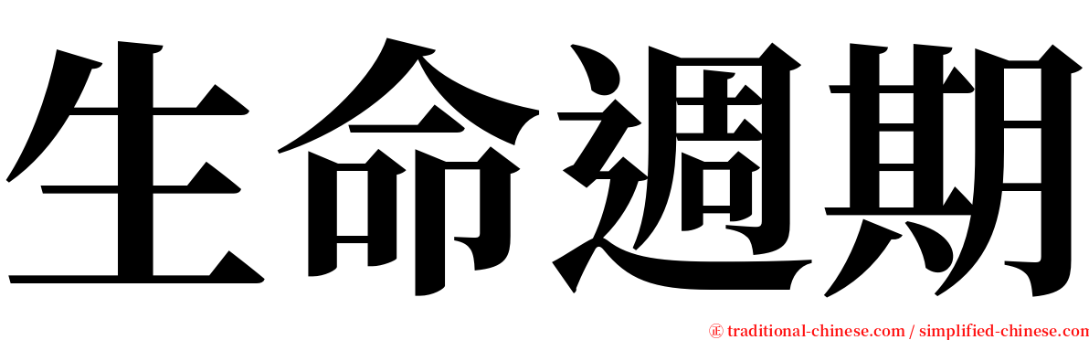 生命週期 serif font