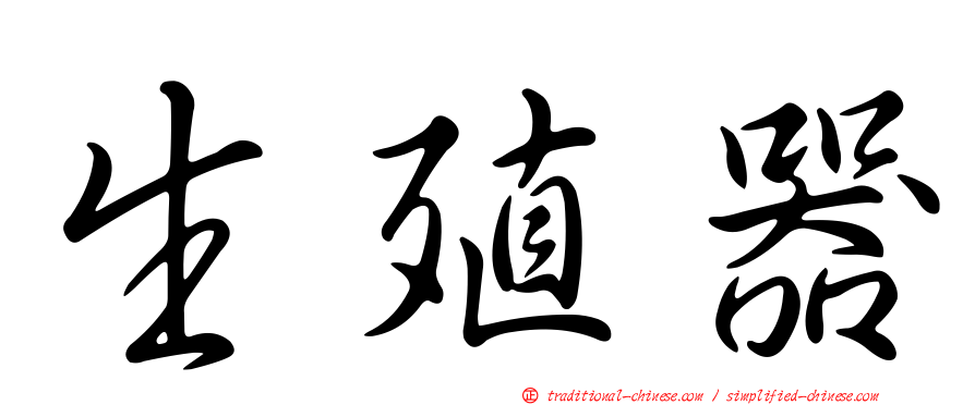 生殖器