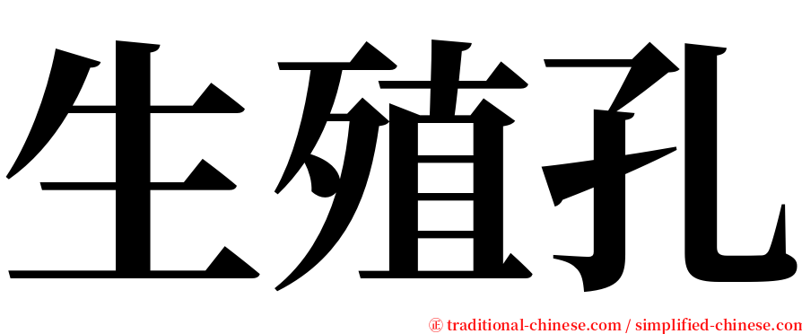 生殖孔 serif font