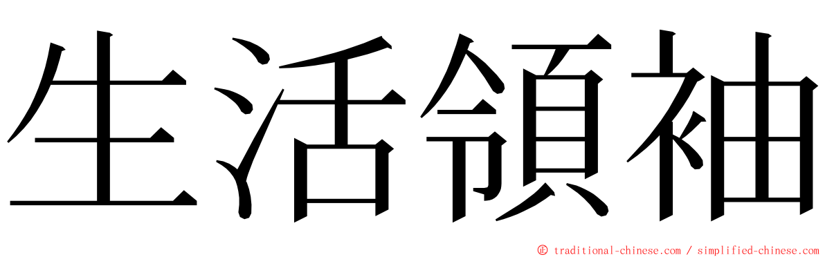 生活領袖 ming font