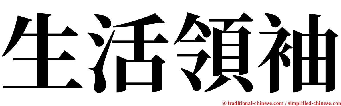 生活領袖 serif font