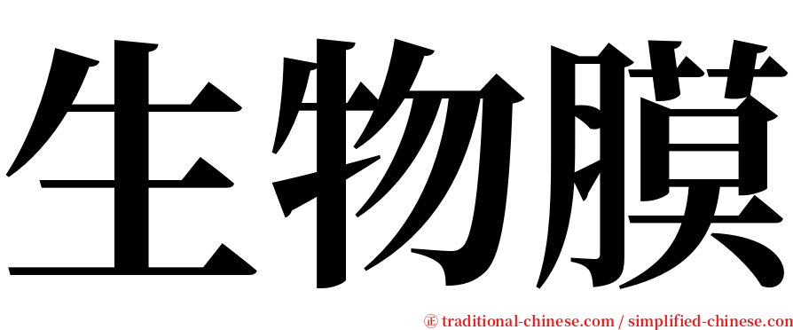 生物膜 serif font