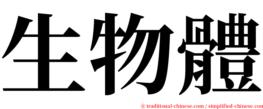 生物體 serif font