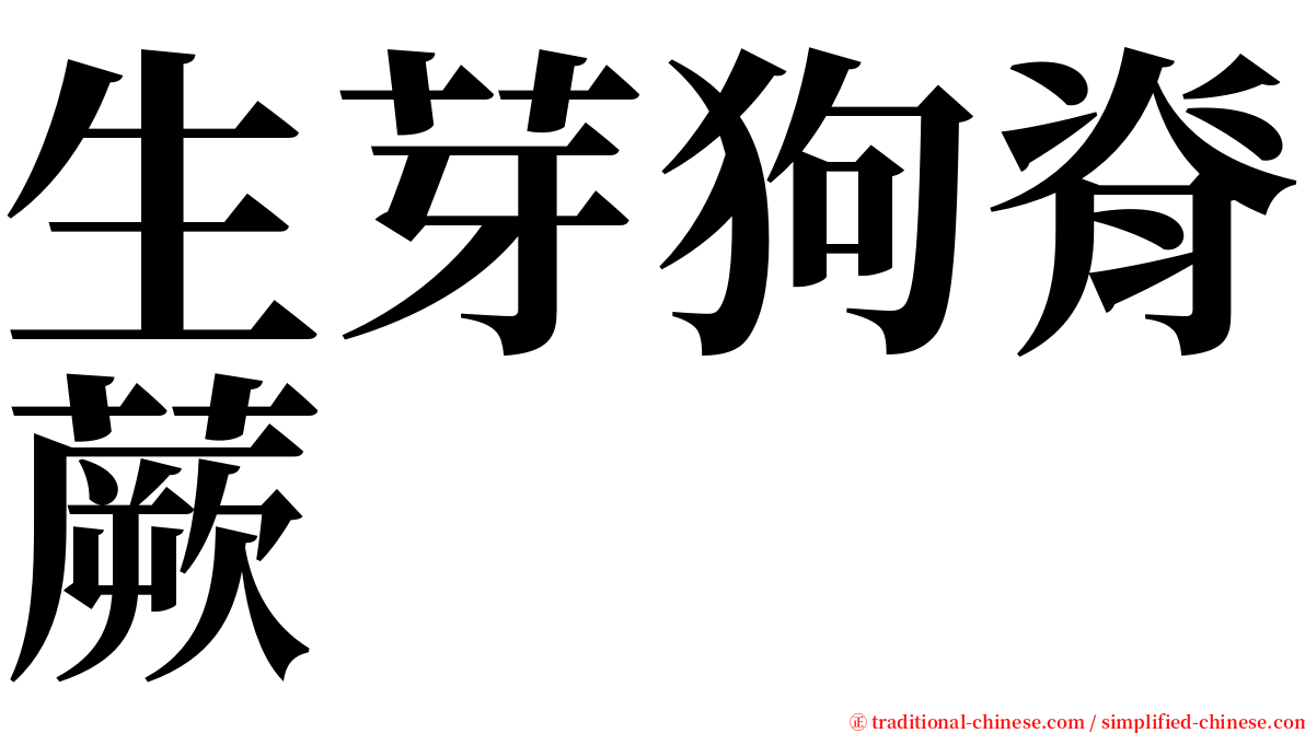 生芽狗脊蕨 serif font