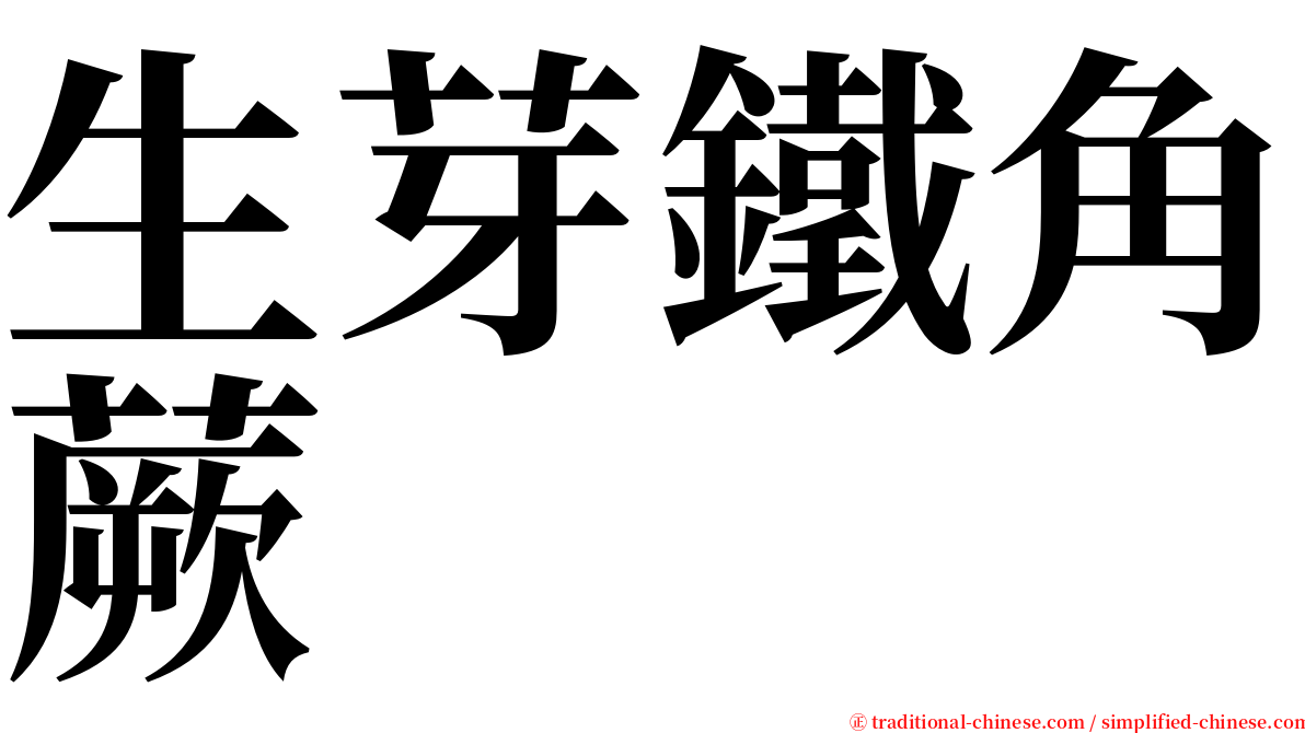 生芽鐵角蕨 serif font