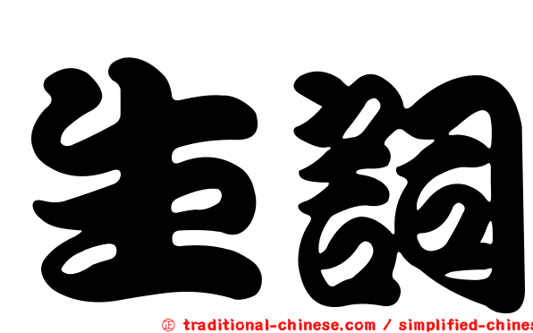 生詞