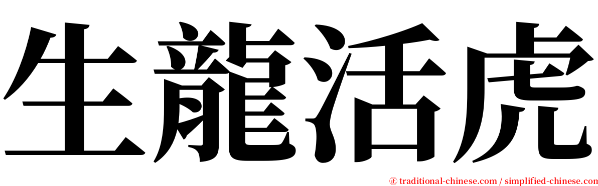 生龍活虎 serif font