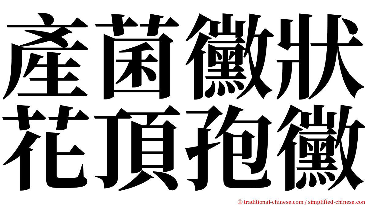 產菌黴狀花頂孢黴 serif font