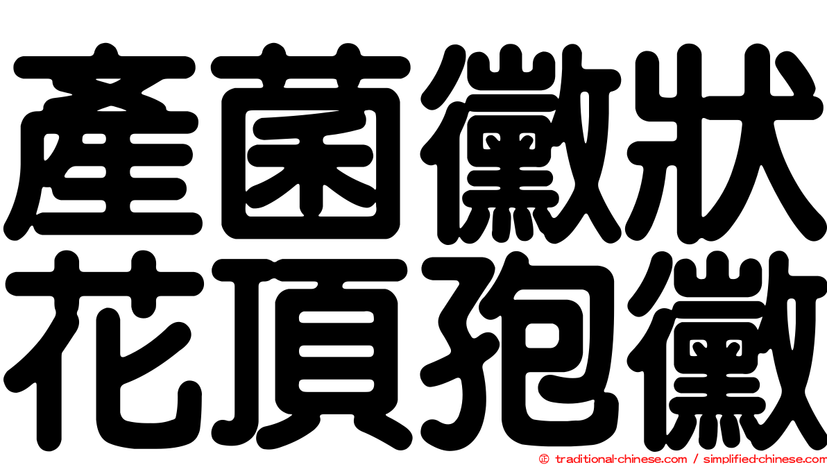 產菌黴狀花頂孢黴