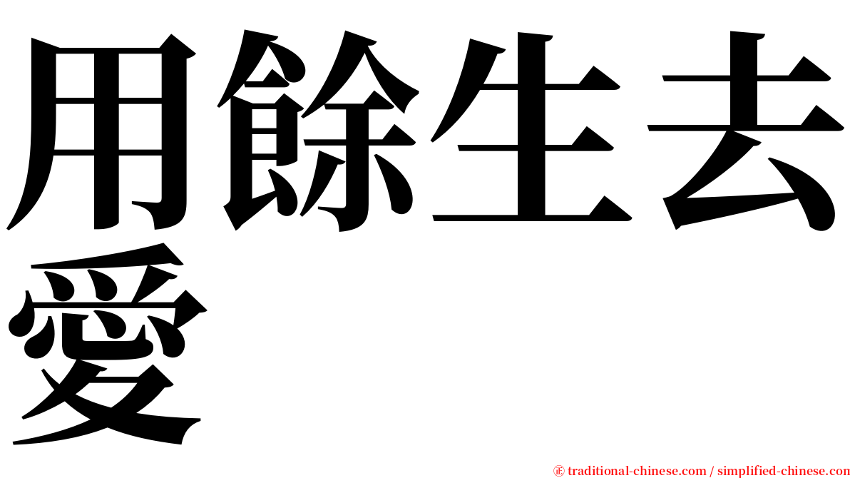 用餘生去愛 serif font