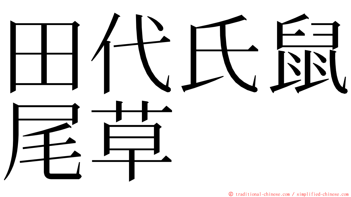 田代氏鼠尾草 ming font