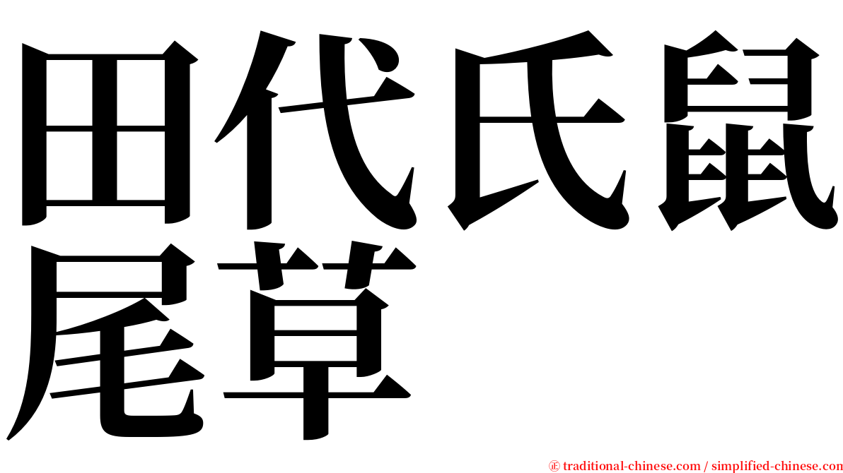 田代氏鼠尾草 serif font