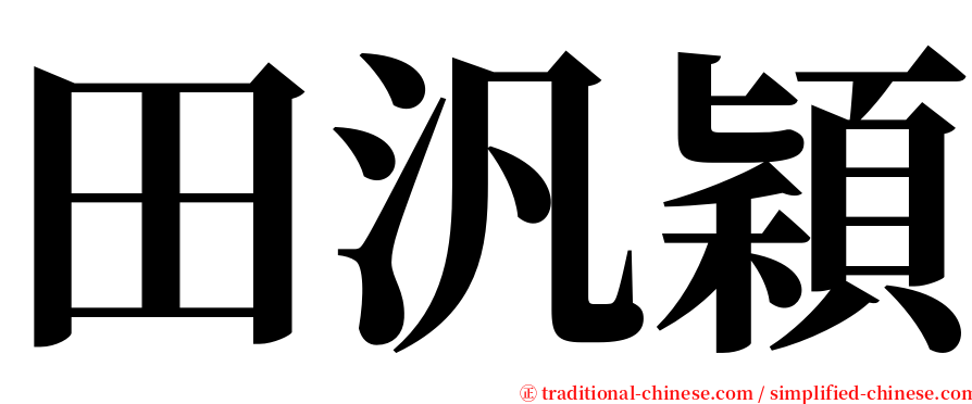 田汎穎 serif font