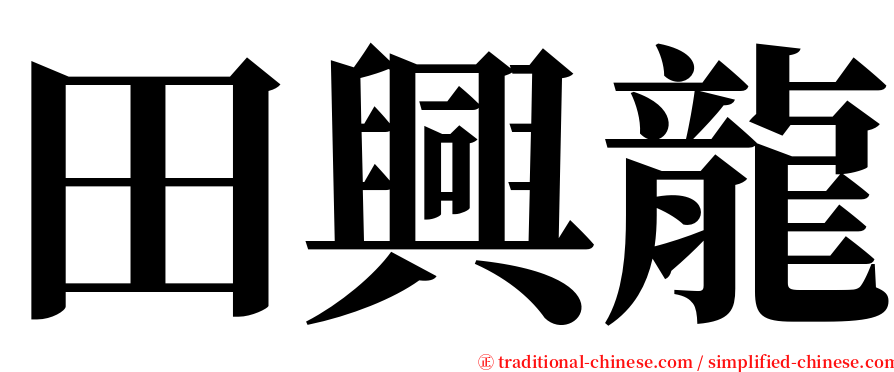 田興龍 serif font