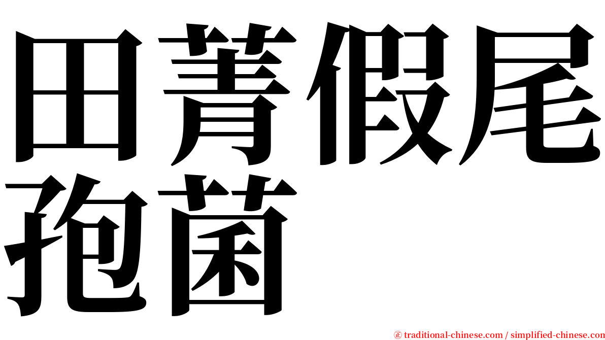 田菁假尾孢菌 serif font