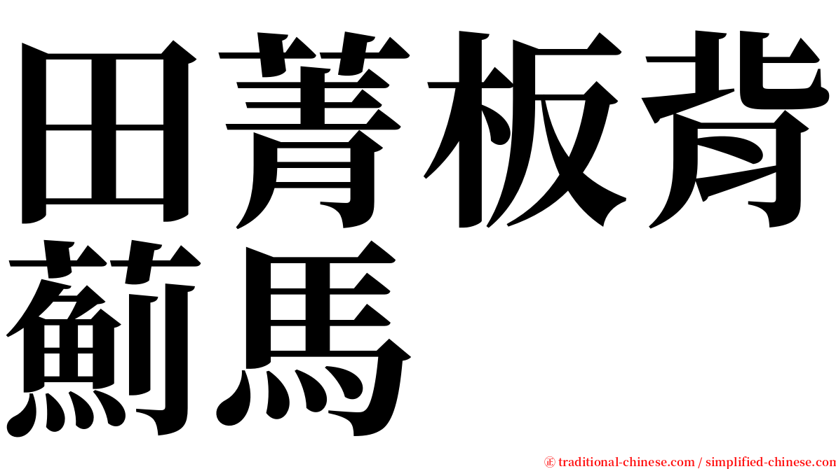 田菁板背薊馬 serif font