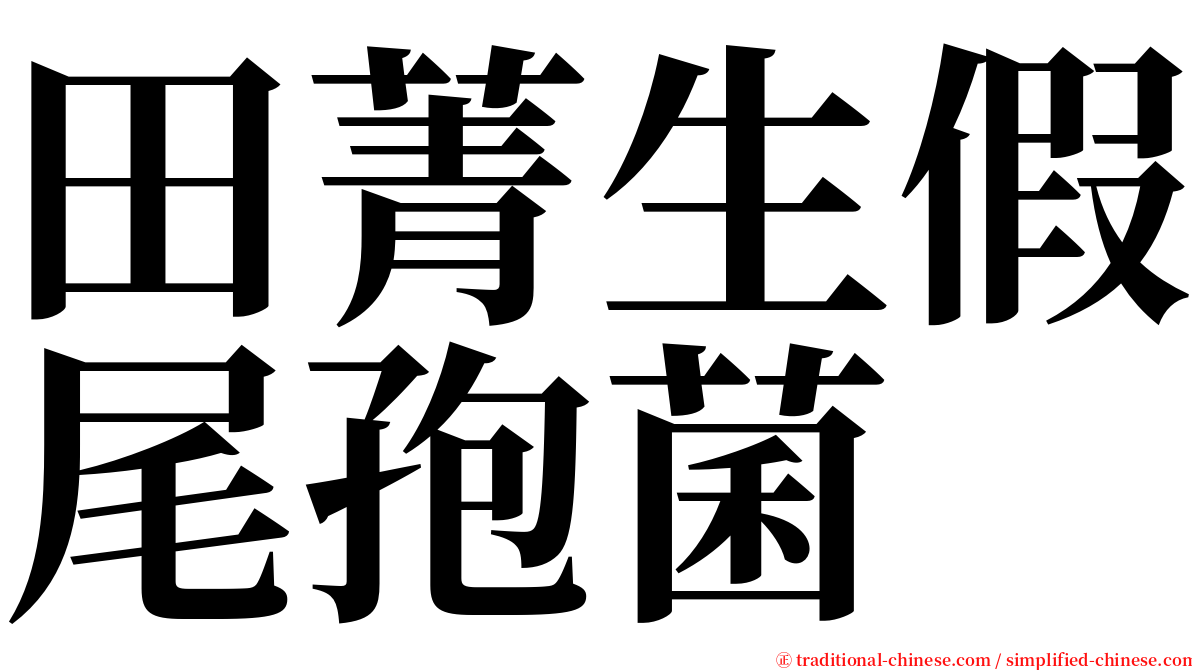 田菁生假尾孢菌 serif font