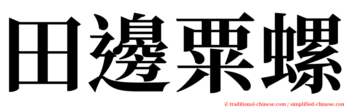 田邊粟螺 serif font