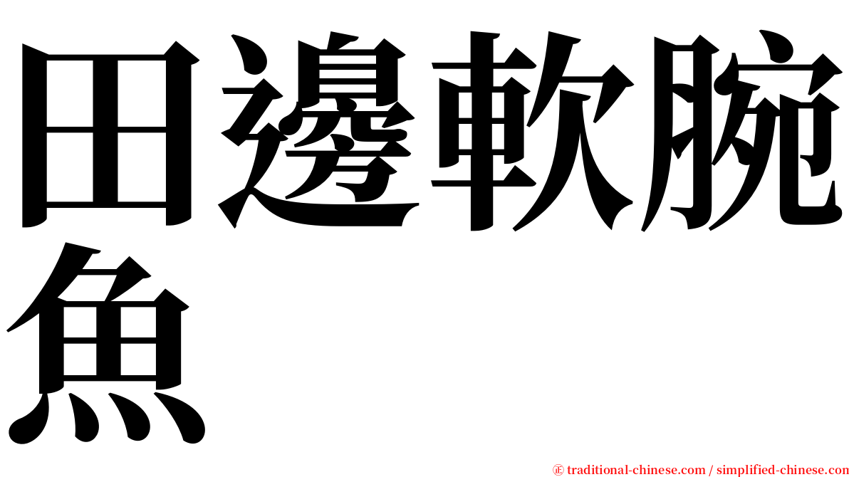 田邊軟腕魚 serif font