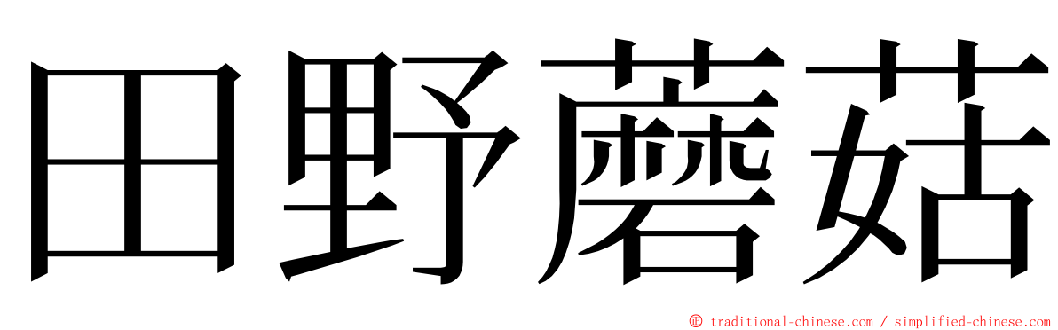 田野蘑菇 ming font