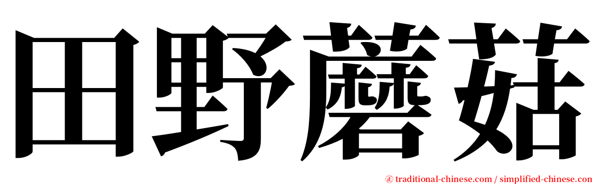 田野蘑菇 serif font