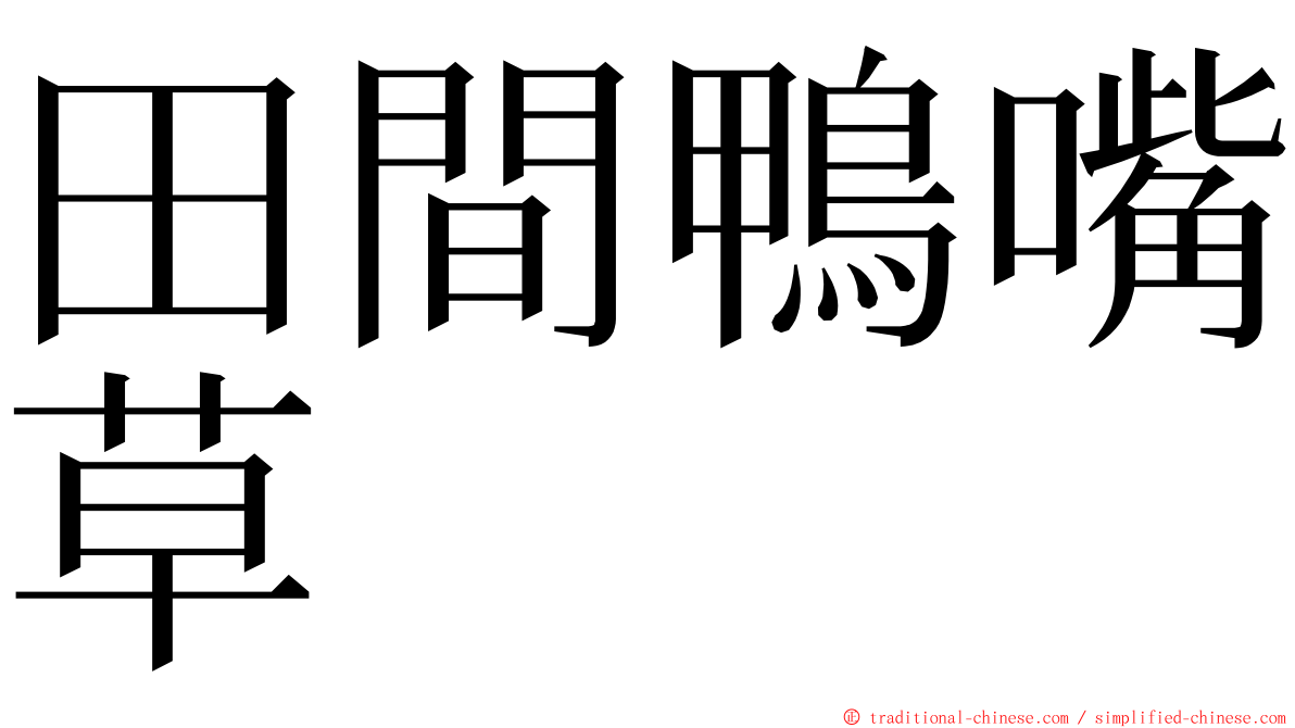 田間鴨嘴草 ming font