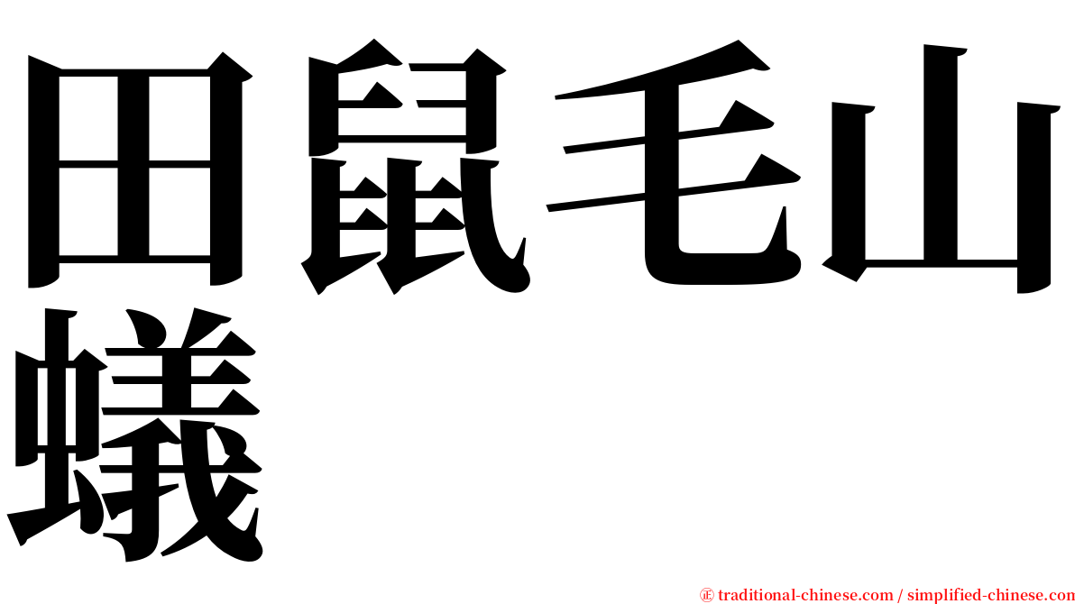 田鼠毛山蟻 serif font