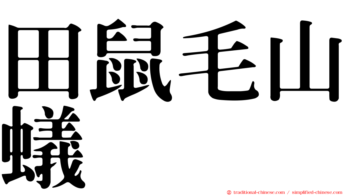 田鼠毛山蟻