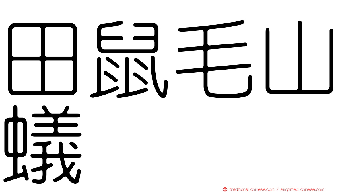 田鼠毛山蟻